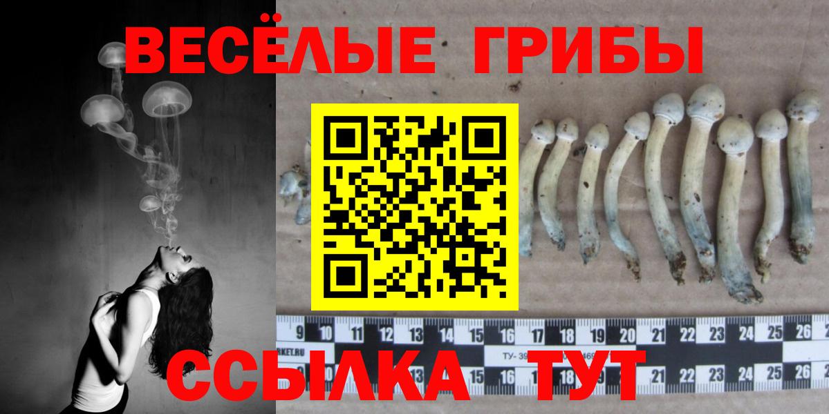 Кузнецк  Псилоцибиновые грибы мицелий  Галлюциногенные грибы прущие грибы  Вход с VPN 