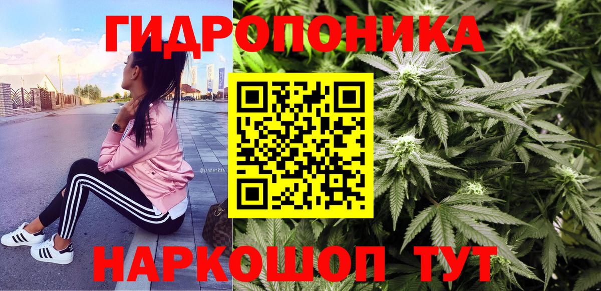 МАРИХУАНА сатива  Канабис тримм  Бошки марихуана White Widow  МАРИХУАНА планчик  Вход с VPN  Кузнецк 